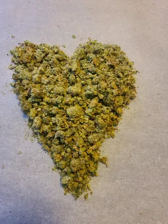 OnlyFans cuenta the_weed_man avatar 1