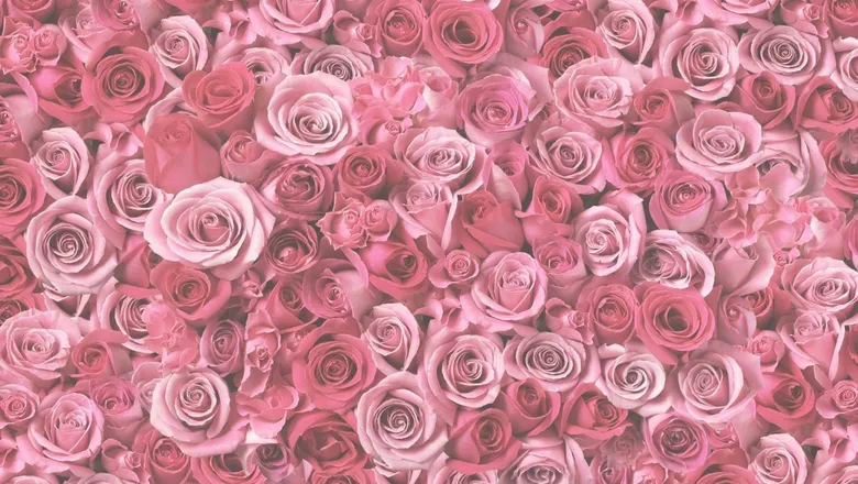 OnlyFans cuenta prettysolesstudio header 2