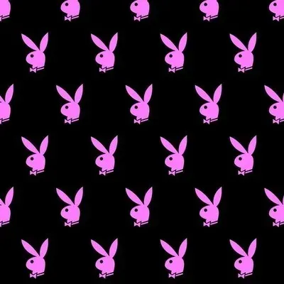 OnlyFans cuenta chloebeanbryant header 2