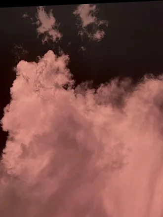 OnlyFans account  maplebunny header 2