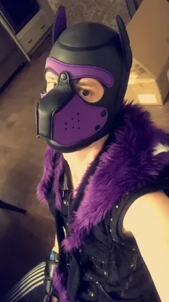 OnlyFans cuenta pupdozyr avatar 1
