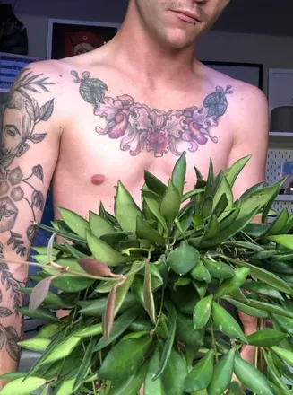 OnlyFans cuenta plantswithoutpants_ross avatar 1