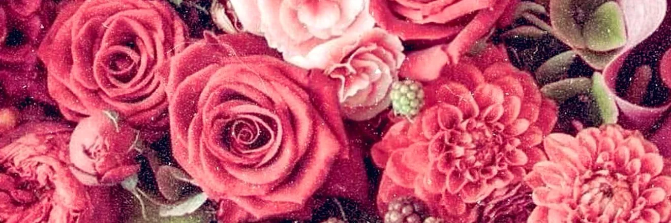 OnlyFans cuenta shay_summers header 2