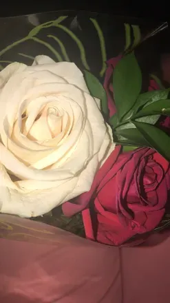 OnlyFans account  stacydash header 2