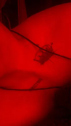 OnlyFans cuenta singletravel header 2