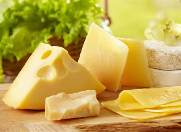 OnlyFans cuenta ylylcheese header 2