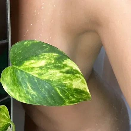 OnlyFans cuenta bigmacxxxtrasauce avatar 1