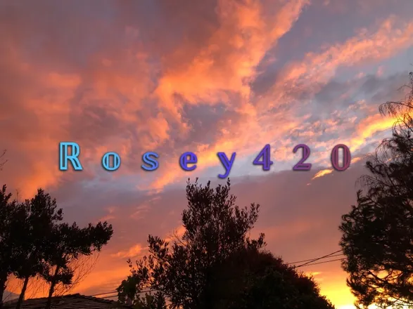 OnlyFans account  mommyrosey420 header 2