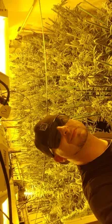OnlyFans cuenta weedman81 avatar 1