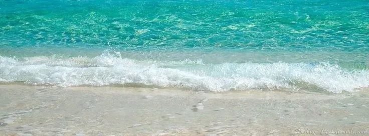 OnlyFans cuenta bifon header 2
