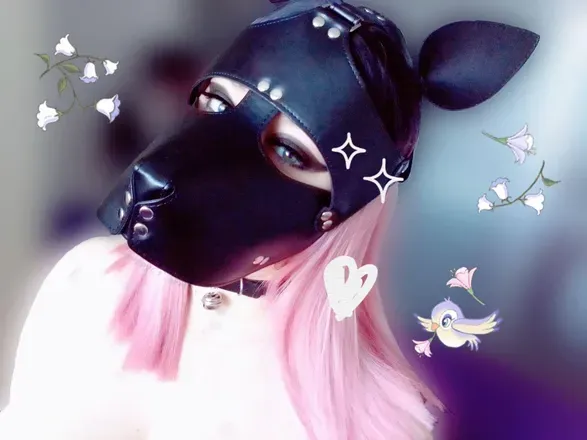 OnlyFans cuenta pvppygrrl avatar 1