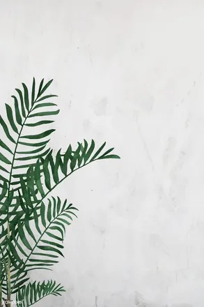 OnlyFans cuenta milkaway101 header 2