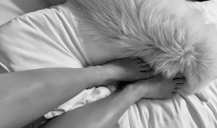 OnlyFans cuenta u189366784 header 2