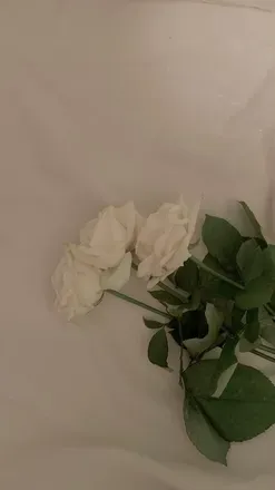 OnlyFans cuenta sleepyprincesss header 2