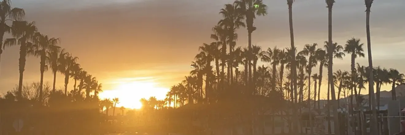 OnlyFans cuenta zanewalker header 2