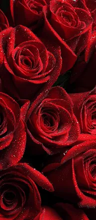 OnlyFans cuenta elocinamber header 2
