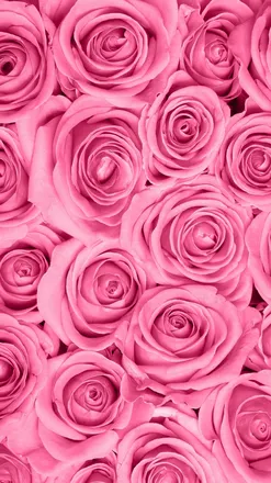 OnlyFans cuenta xobubbles96 header 2