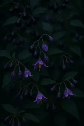 OnlyFans cuenta taylor_nightshade header 2