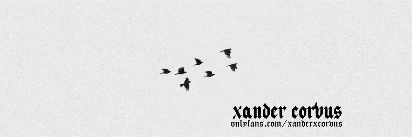 OnlyFans account  xanderxcorvus header 2