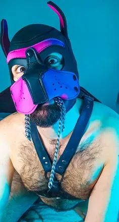OnlyFans cuenta puppybearcub avatar 1