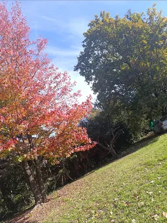 OnlyFans cuenta fabbii96 header 2