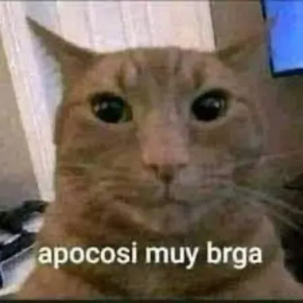 OnlyFans cuenta rosd1e avatar 1