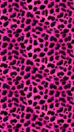 OnlyFans cuenta giaamuchetti header 2