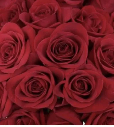 OnlyFans cuenta u67791905 header 2