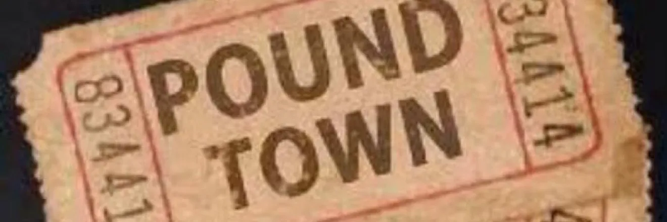 OnlyFans account  pointofvuw header 2