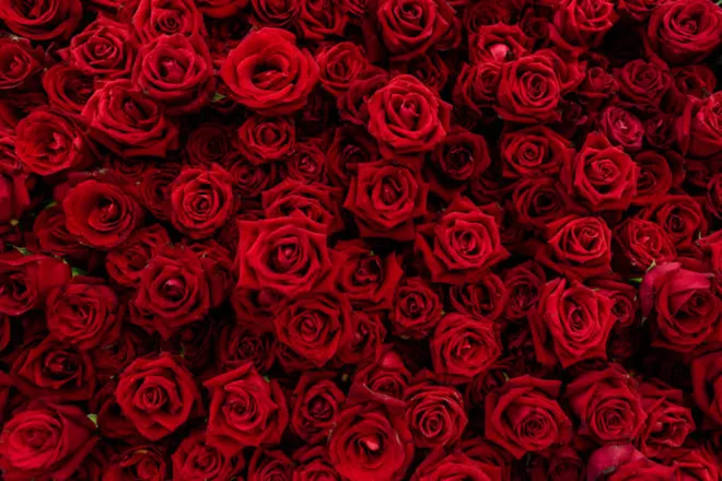 OnlyFans cuenta ladymorningstar.3 header 2