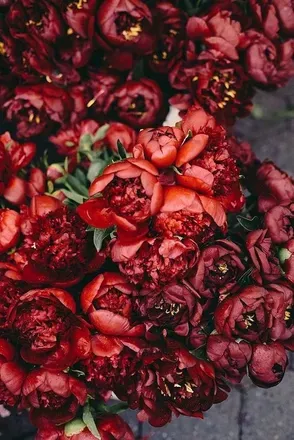 OnlyFans cuenta mizumoony header 2