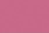 OnlyFans cuenta toothick2care header 2
