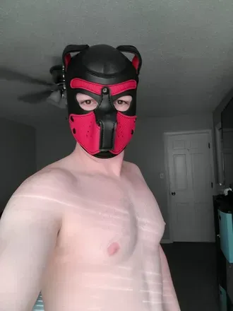 OnlyFans cuenta wrexthepup avatar 1