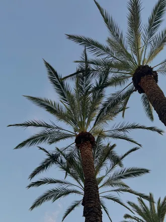 OnlyFans cuenta beachbumkrys header 2