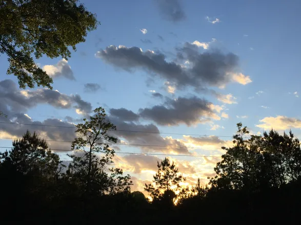 OnlyFans cuenta southernsapphire header 2
