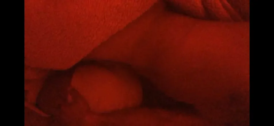 OnlyFans account  congobde header 2