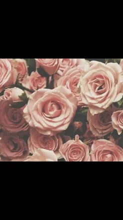 OnlyFans cuenta spookylittlegirl90 header 1