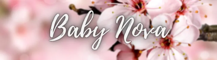 OnlyFans cuenta babynova223 header 2