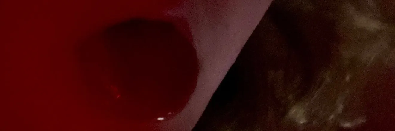 OnlyFans cuenta kangaroojackie header 2