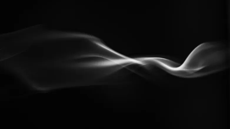 2025-02-12 photo 1