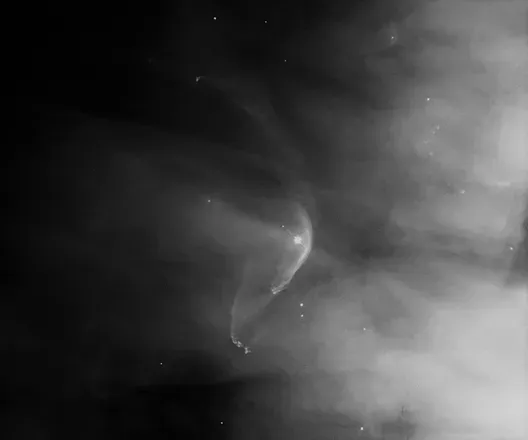 OnlyFans cuenta grey.hummingbird header 2