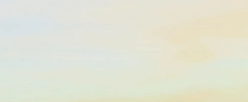 OnlyFans cuenta vox_twink header 1
