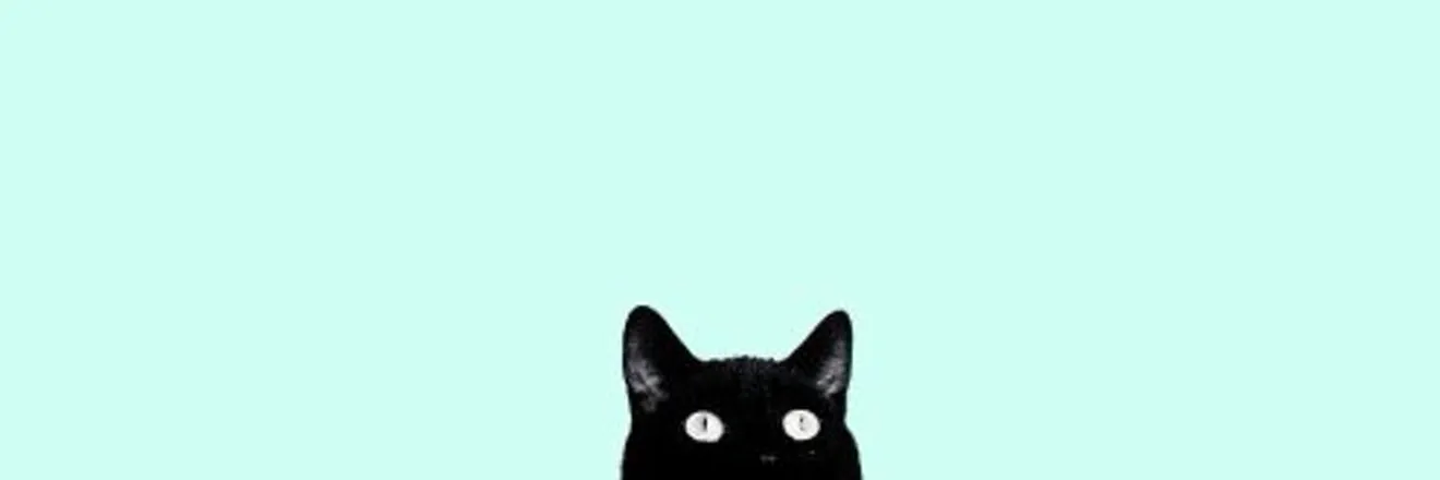 OnlyFans cuenta the_cats_mom header 2