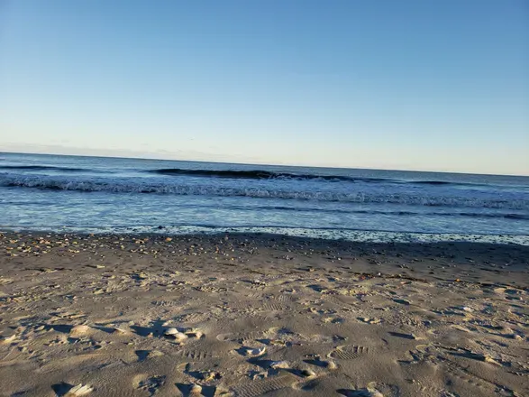 OnlyFans cuenta beach_voyeur avatar 1