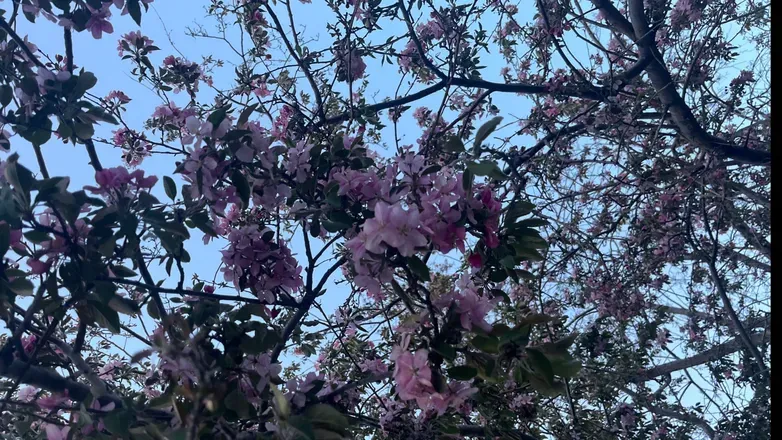 OnlyFans account  xxxberriesxxx header 2