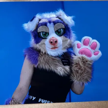 OnlyFans account  puppygirlheat avatar 1