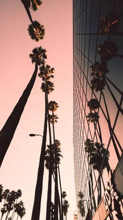 OnlyFans cuenta greysonkingg header 2