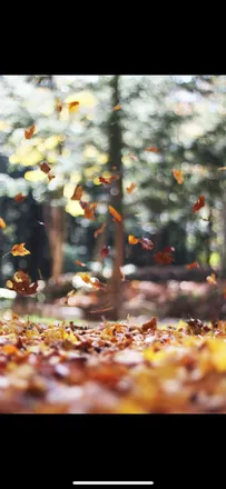 OnlyFans cuenta autumn_summers_1996 header 2