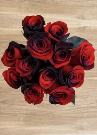 OnlyFans cuenta reapingrose header 2
