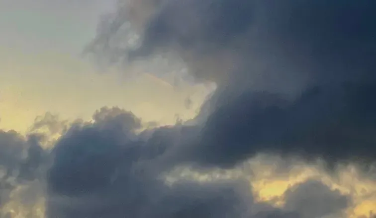 OnlyFans cuenta scarletwooods header 2